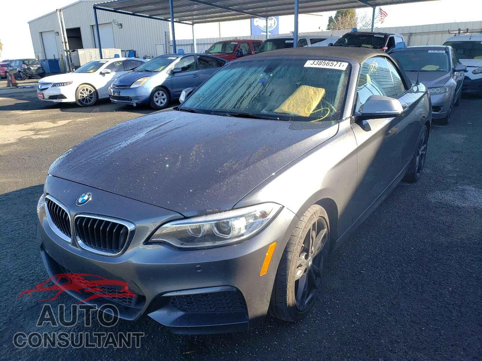 BMW M2 2017 - WBA2L1C3XHV666547