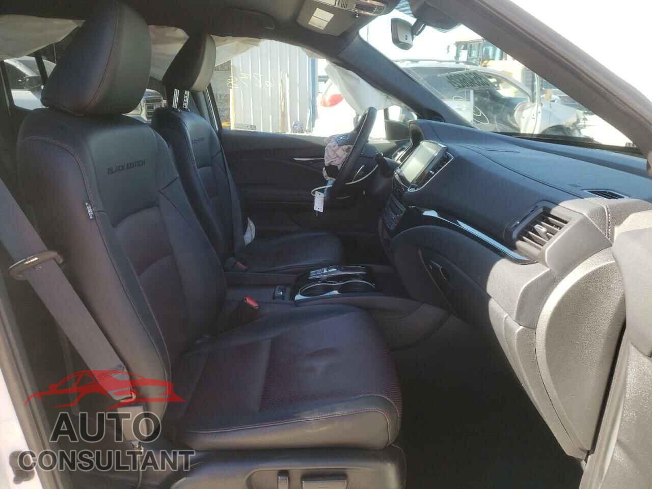 HONDA RIDGELINE 2021 - 5FPYK3F81MB006805