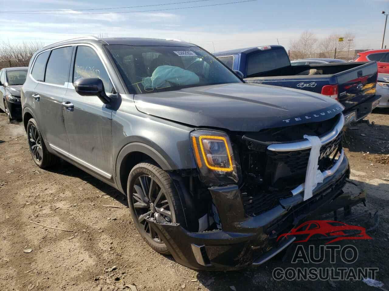 KIA TELLURIDE 2022 - 5XYP5DHC0NG254783