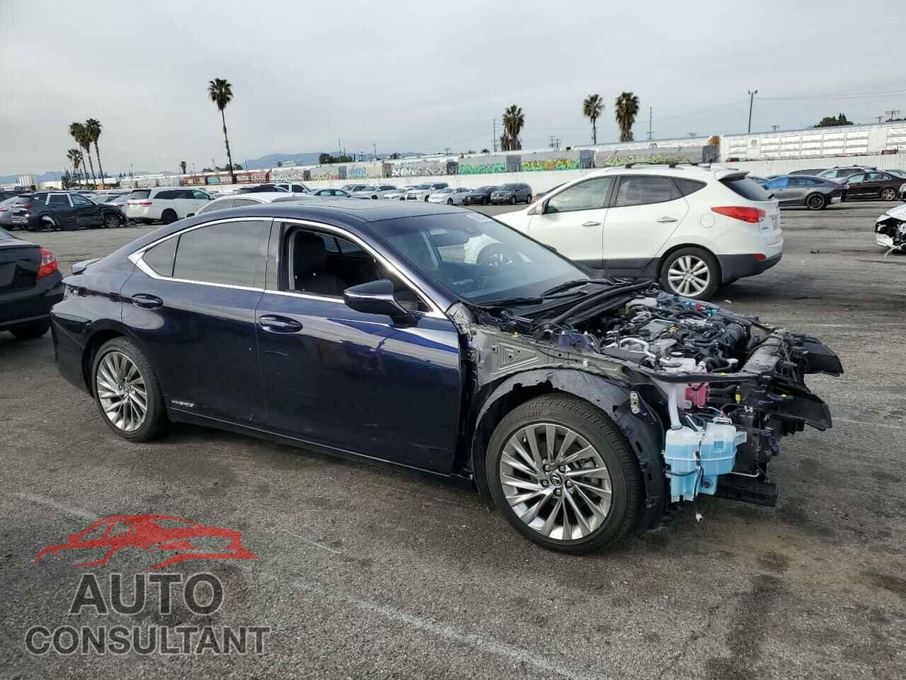 LEXUS ES300 2019 - JTHB21B19K2015102