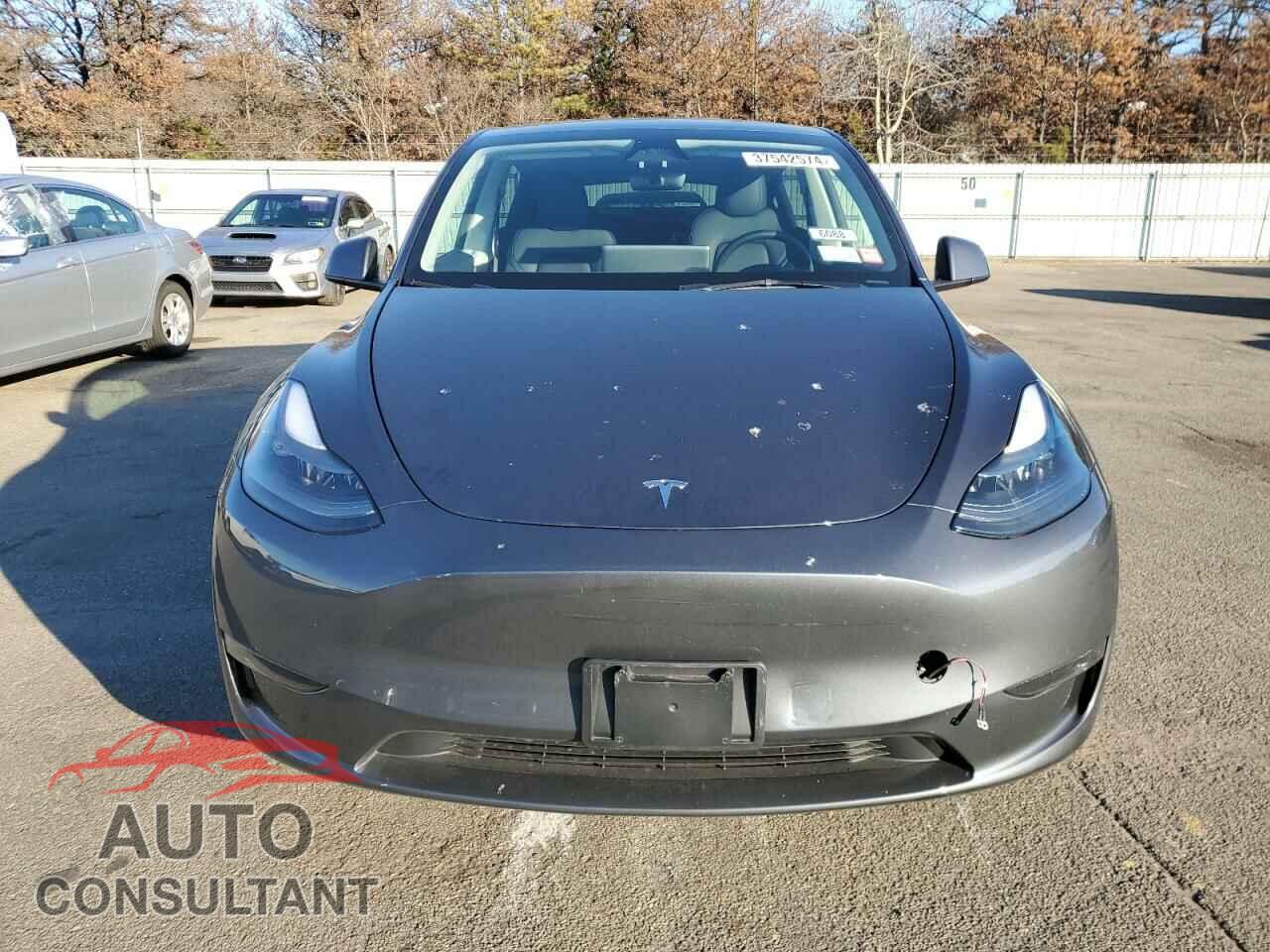 TESLA MODEL Y 2023 - 7SAYGDEEXPF840330