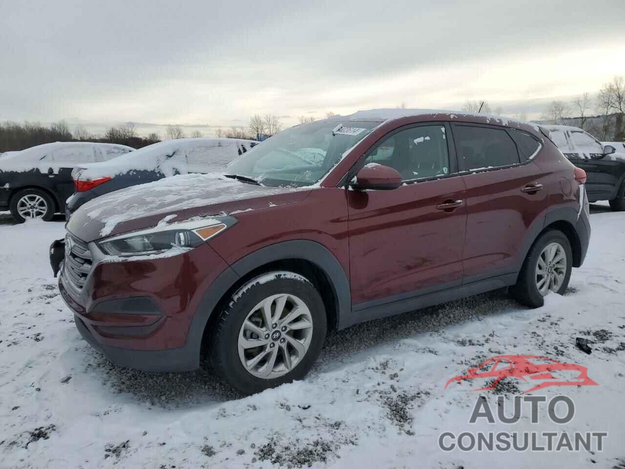 HYUNDAI TUCSON 2017 - KM8J23A48HU263774