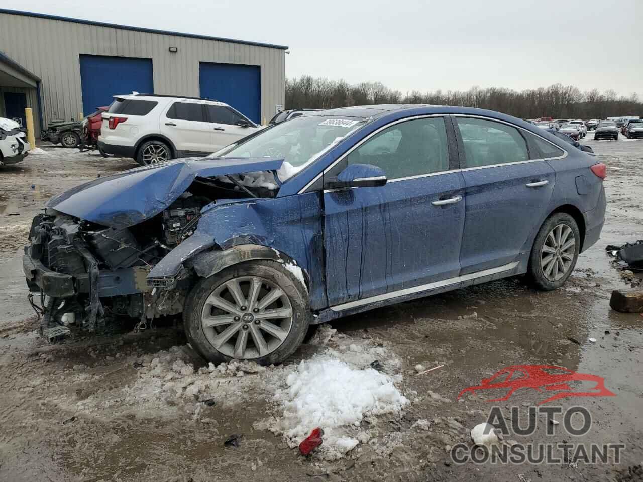 HYUNDAI SONATA 2016 - 5NPE34AF9GH413538