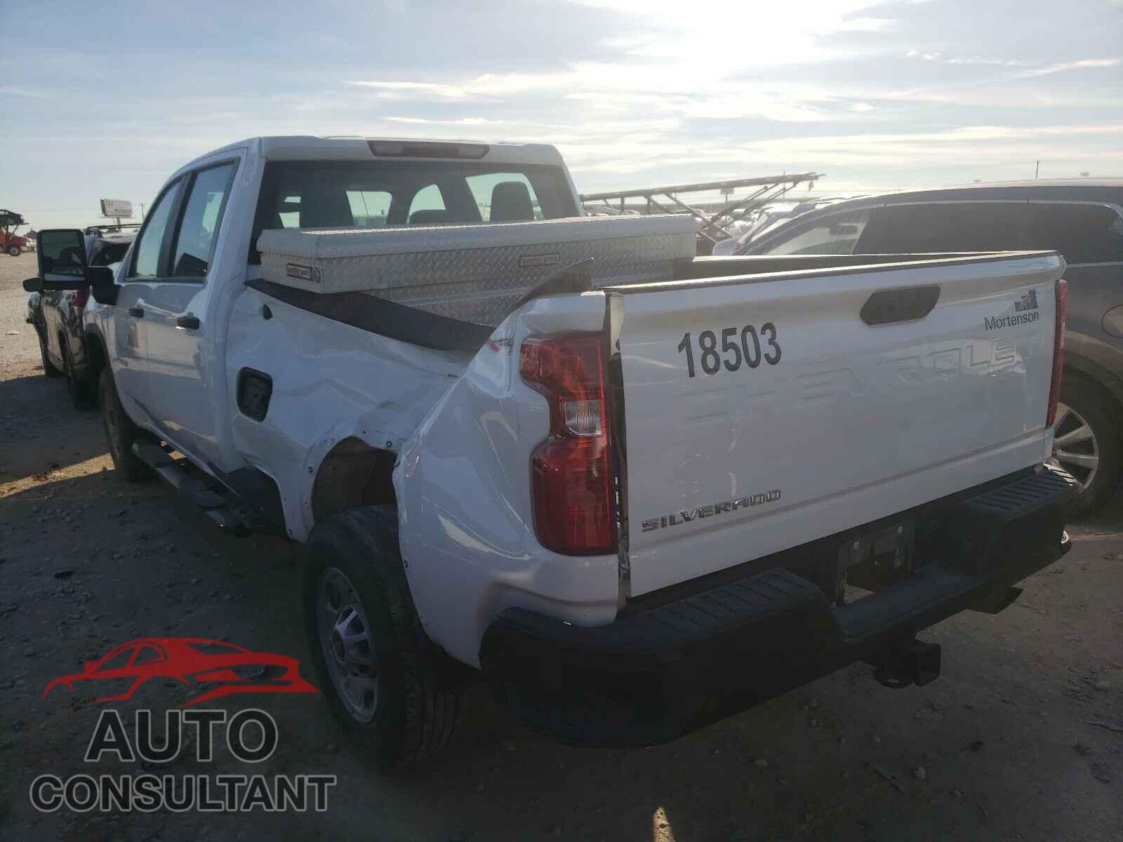 CHEVROLET SILVERADO 2020 - 1GC1YLE71LF175668