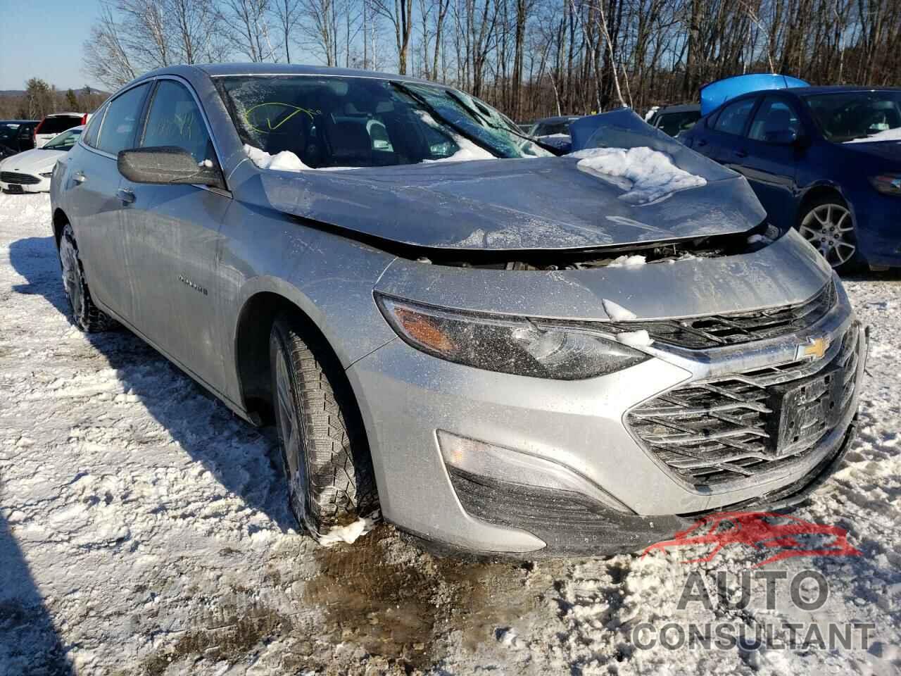 CHEVROLET MALIBU 2019 - 1G1ZB5ST8KF113404