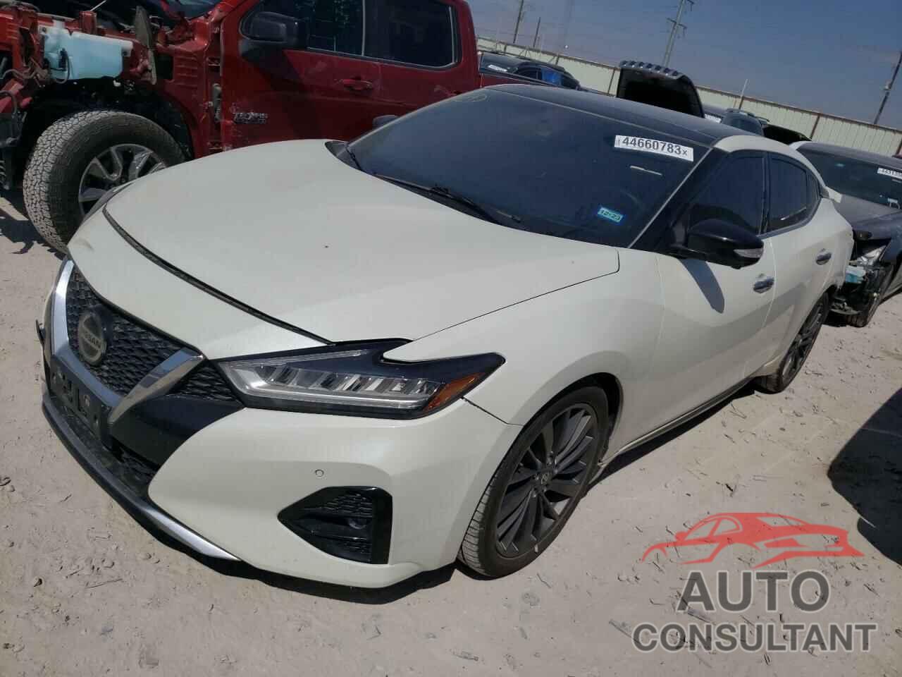 NISSAN MAXIMA 2019 - 1N4AA6AV2KC381758