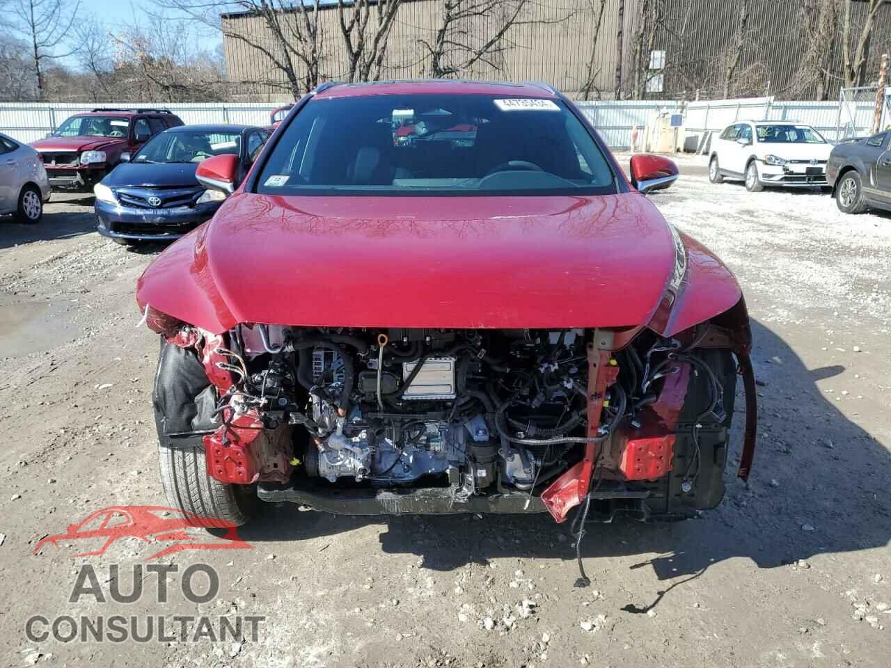 LEXUS RX350 2024 - 2T2BAMCA8RC039628