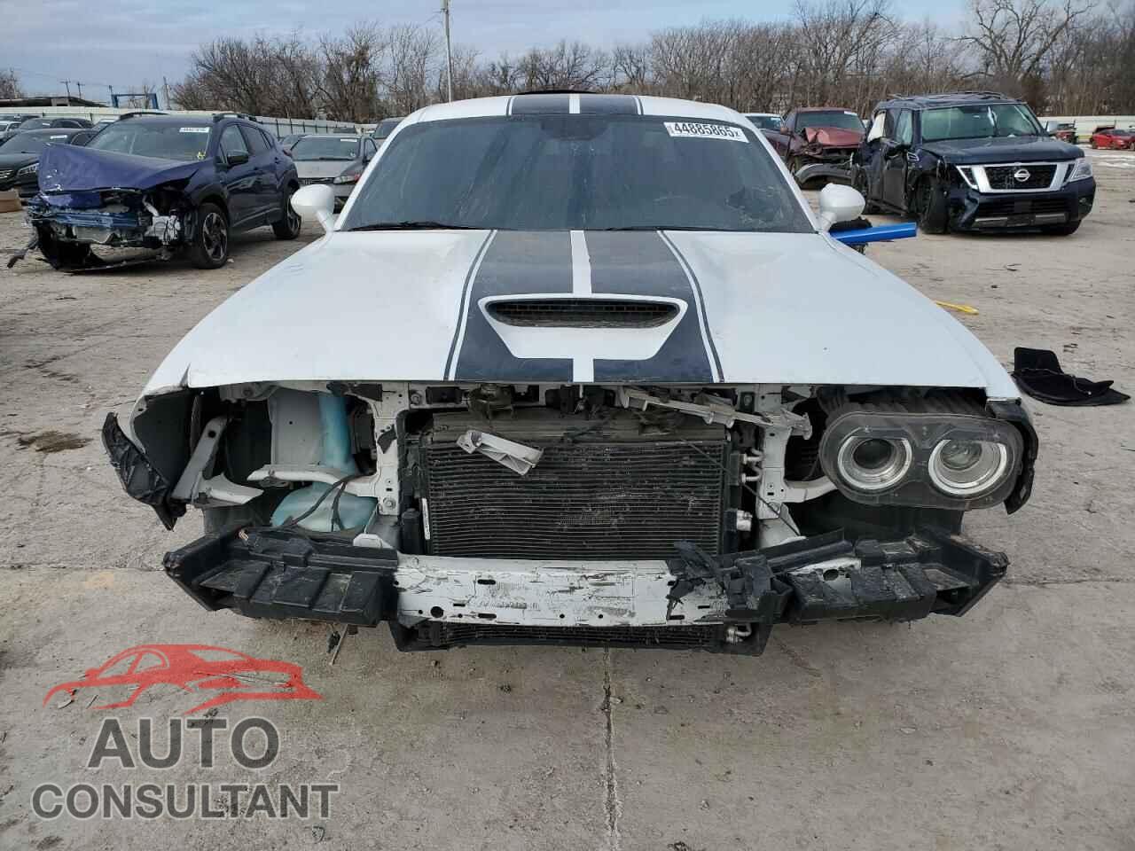 DODGE CHALLENGER 2019 - 2C3CDZBTXKH578316
