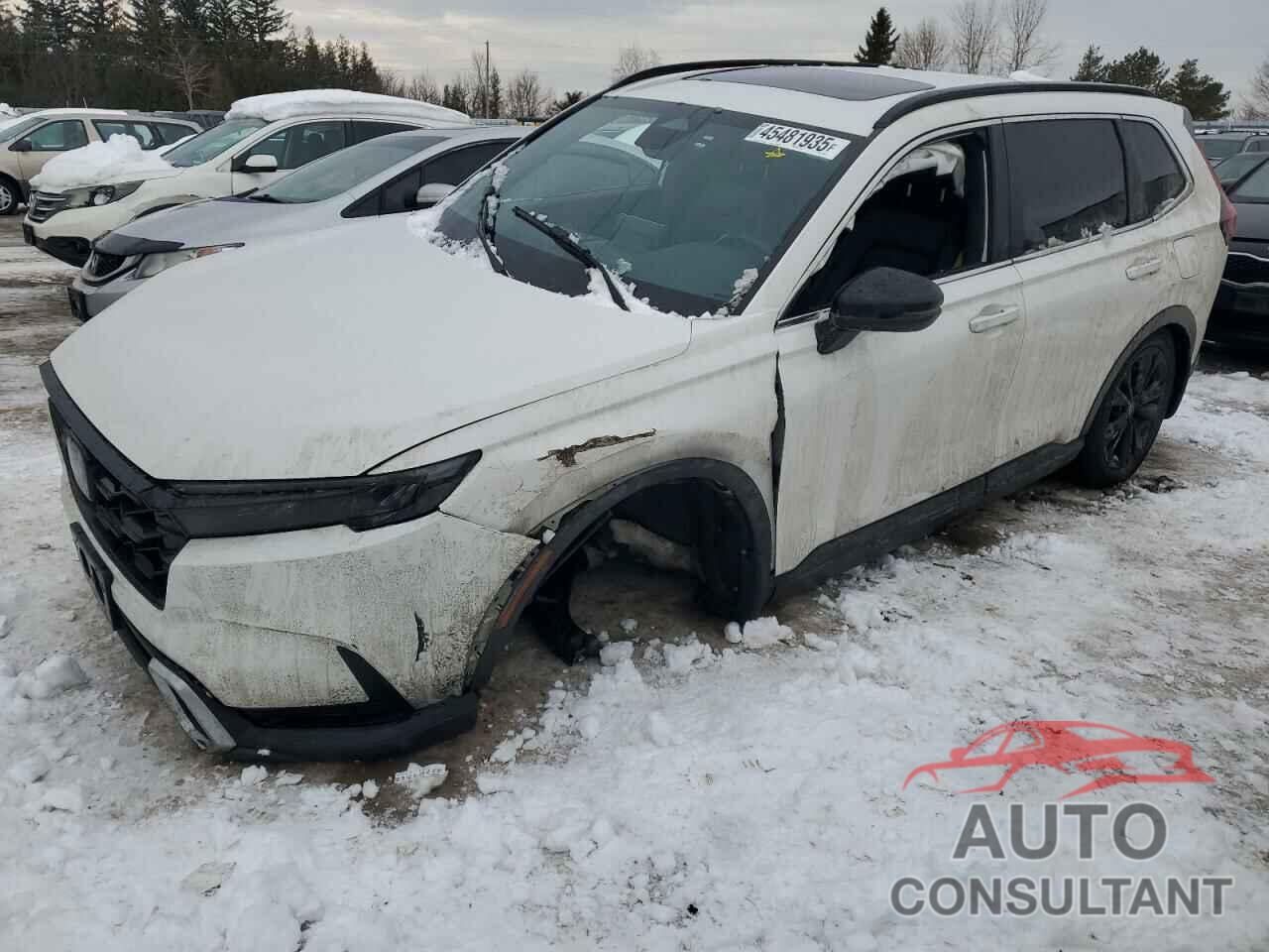HONDA CRV 2023 - 2HKRS6H94PH204613