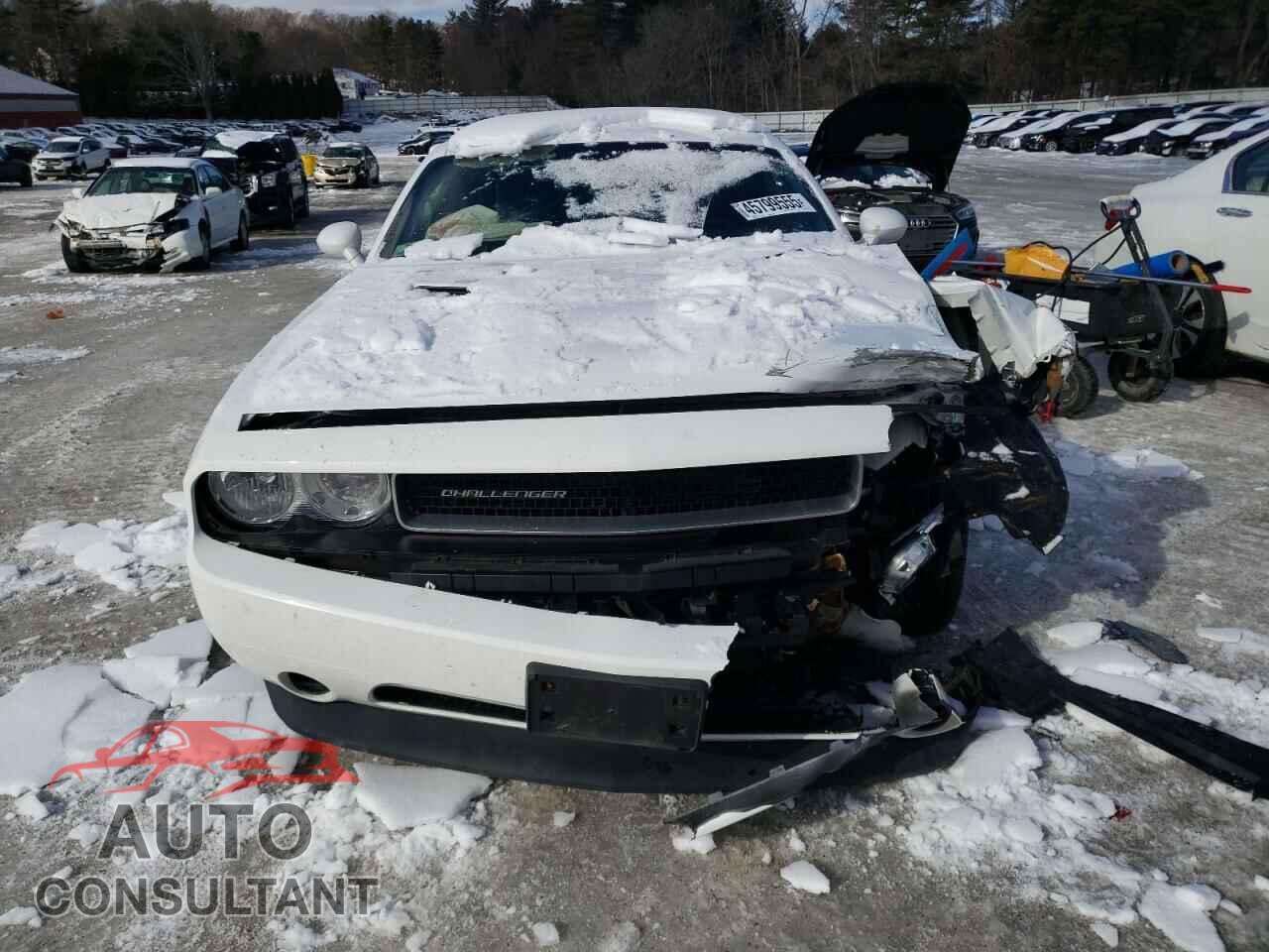 DODGE CHALLENGER 2013 - 2C3CDYAG6DH520933
