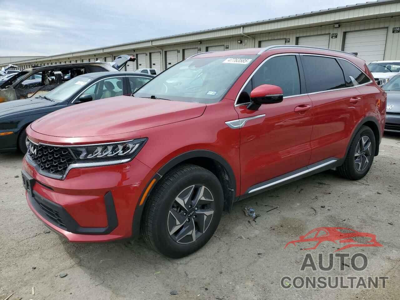 KIA SORENTO 2022 - KNDRG4LG5N5089769