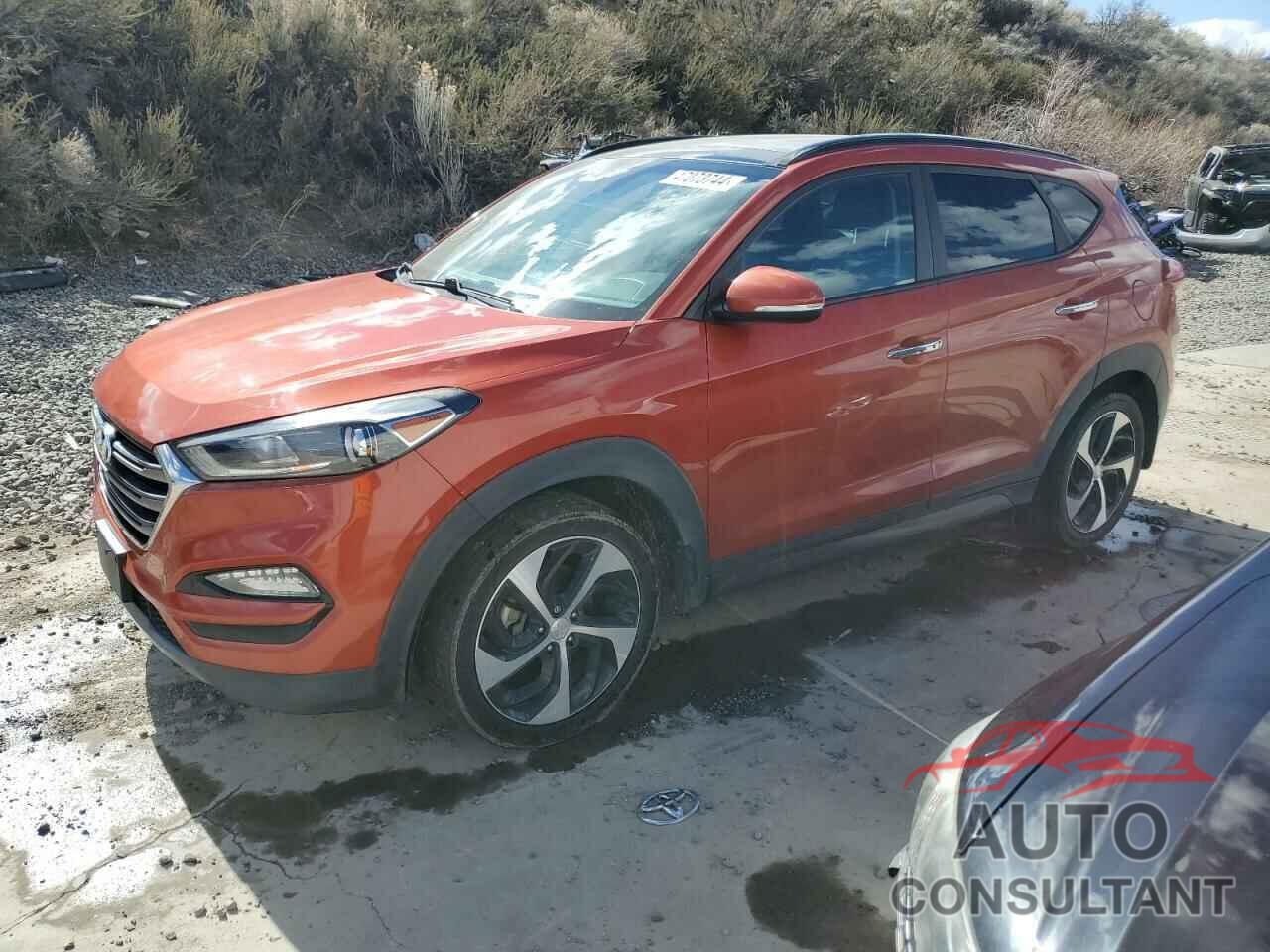 HYUNDAI TUCSON 2016 - KM8J33A22GU180450