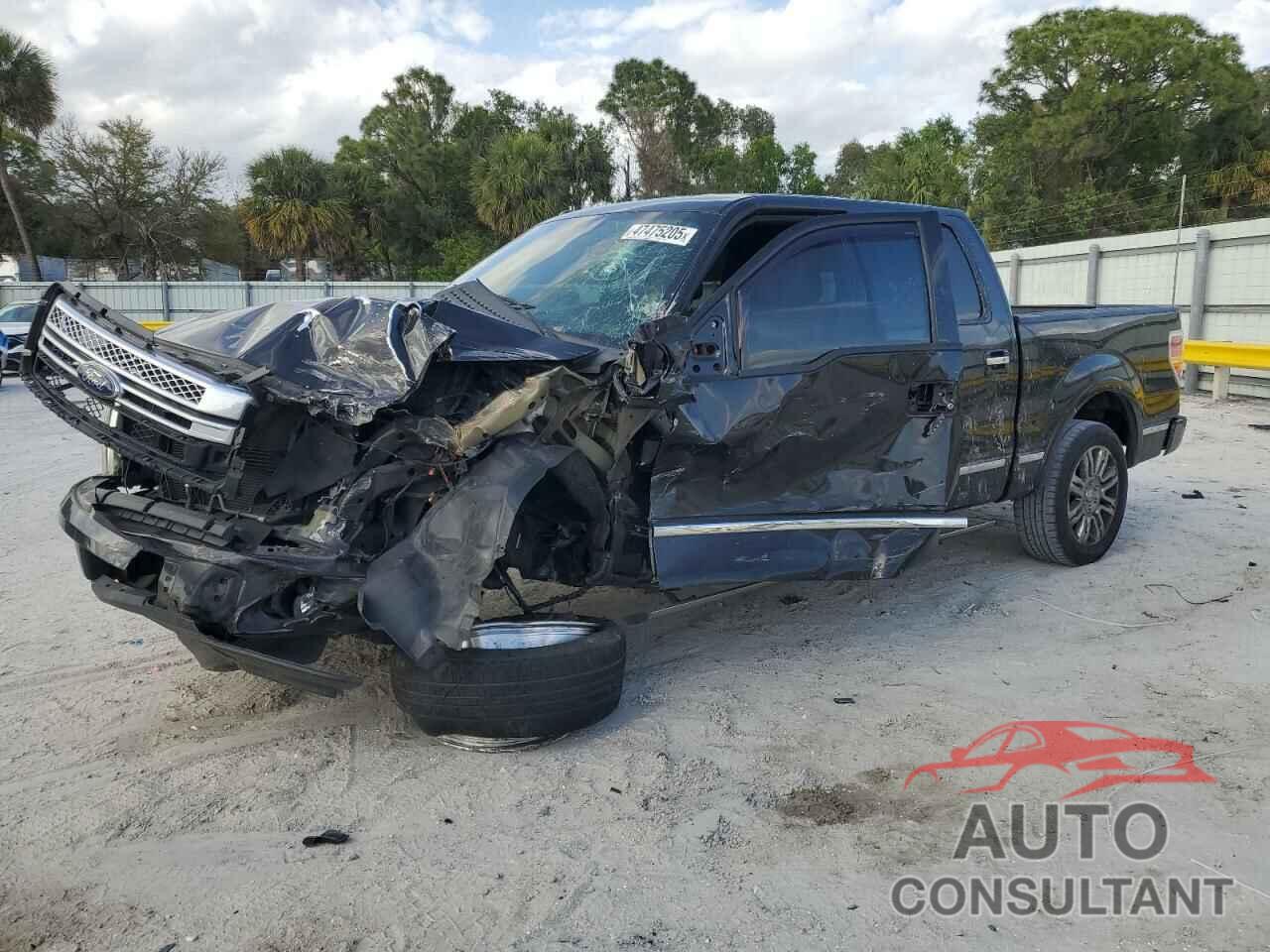FORD F-150 2013 - 1FTFW1CF9DFA35556