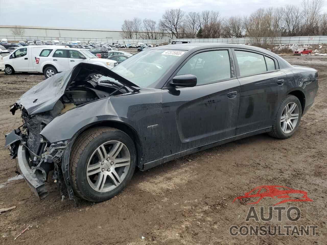 DODGE CHARGER 2013 - 2C3CDXCTXDH738104