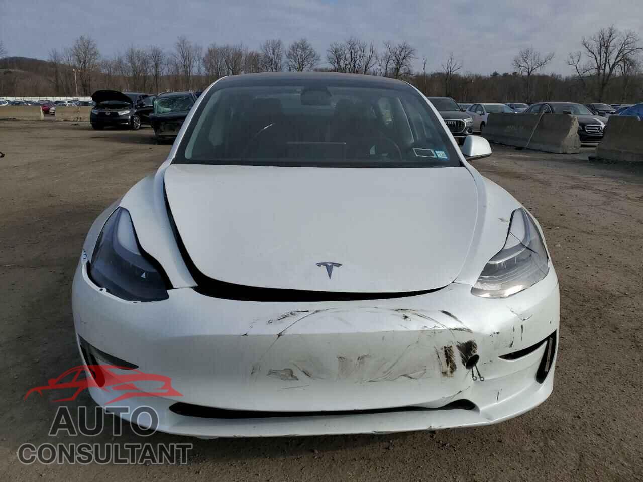 TESLA MODEL 3 2023 - 5YJ3E1EA7PF561815