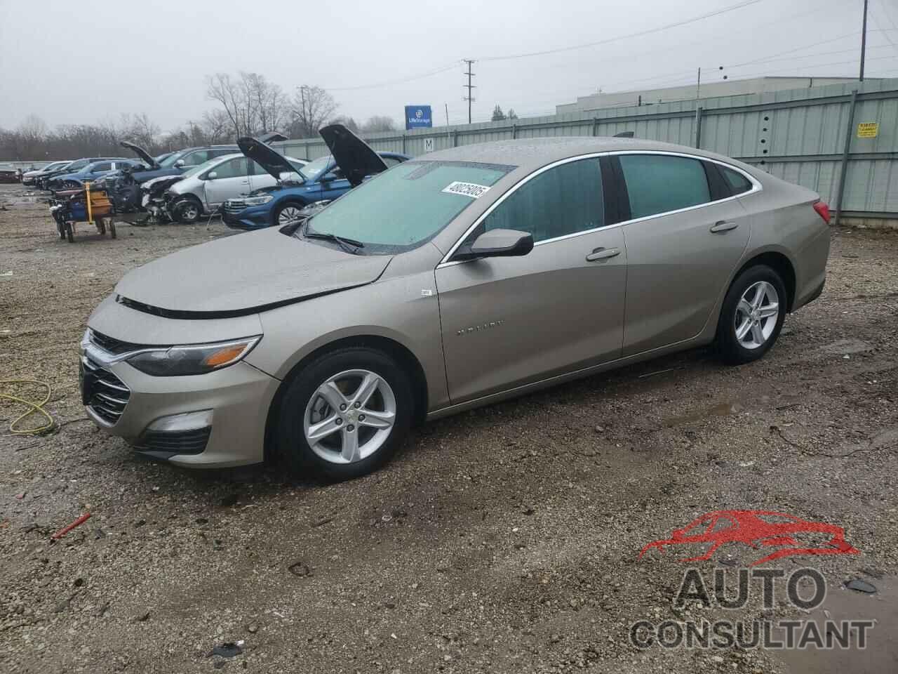 CHEVROLET MALIBU 2024 - 1G1ZB5ST8RF250272