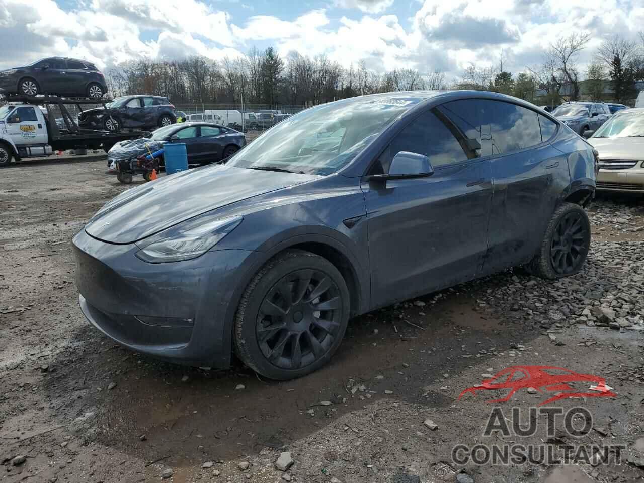 TESLA MODEL Y 2021 - 5YJYGDEE9MF192455