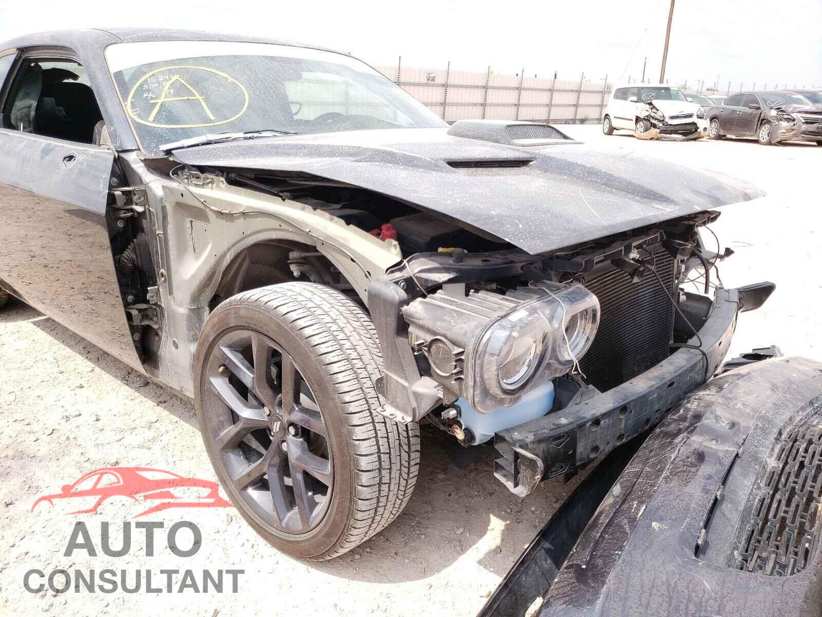 DODGE CHALLENGER 2019 - 2C3CDZAG1KH691589