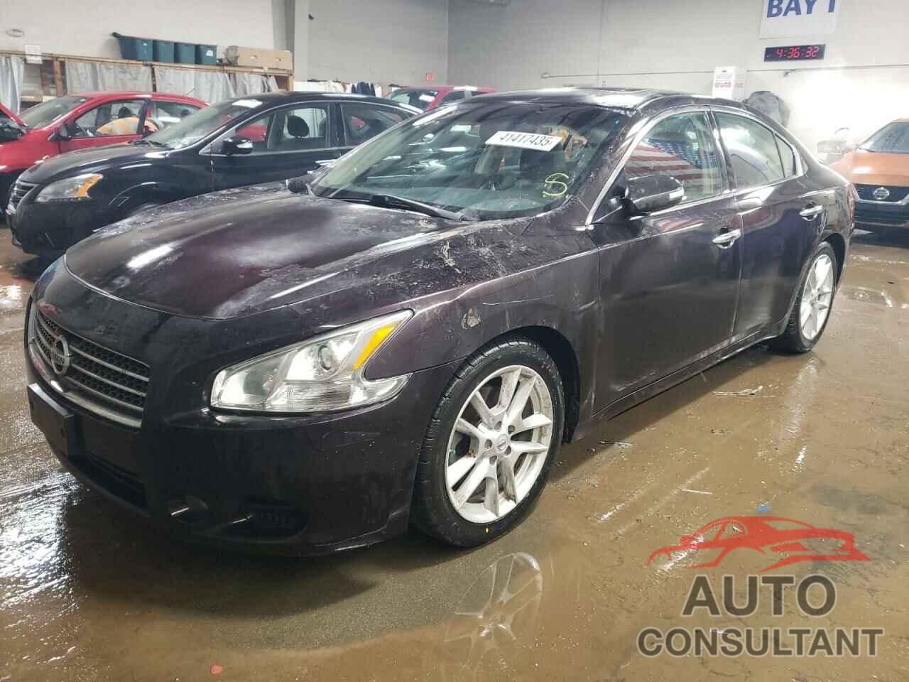 NISSAN MAXIMA 2010 - 1N4AA5AP7AC805817