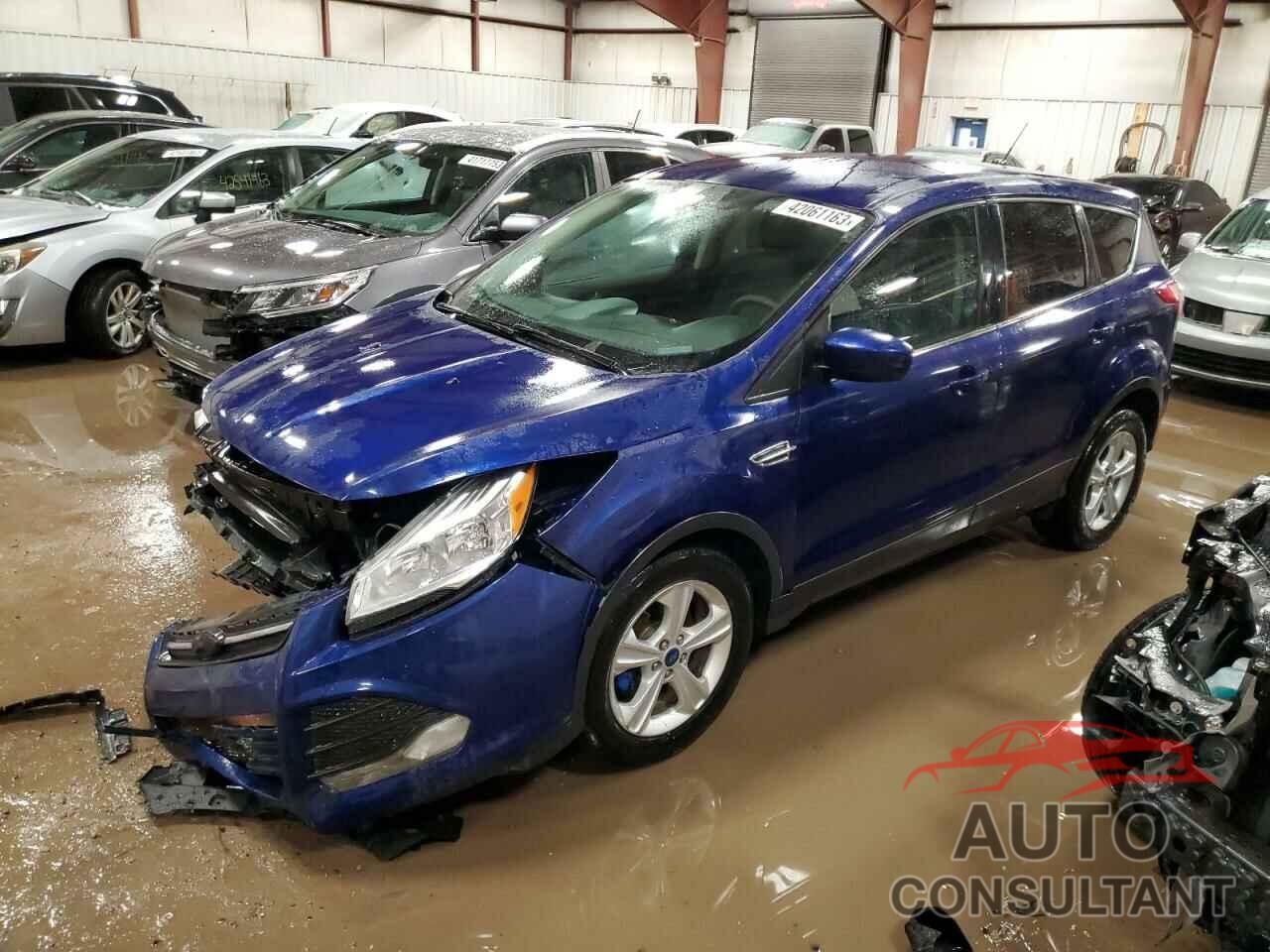 FORD ESCAPE 2016 - 1FMCU0GXXGUA96674