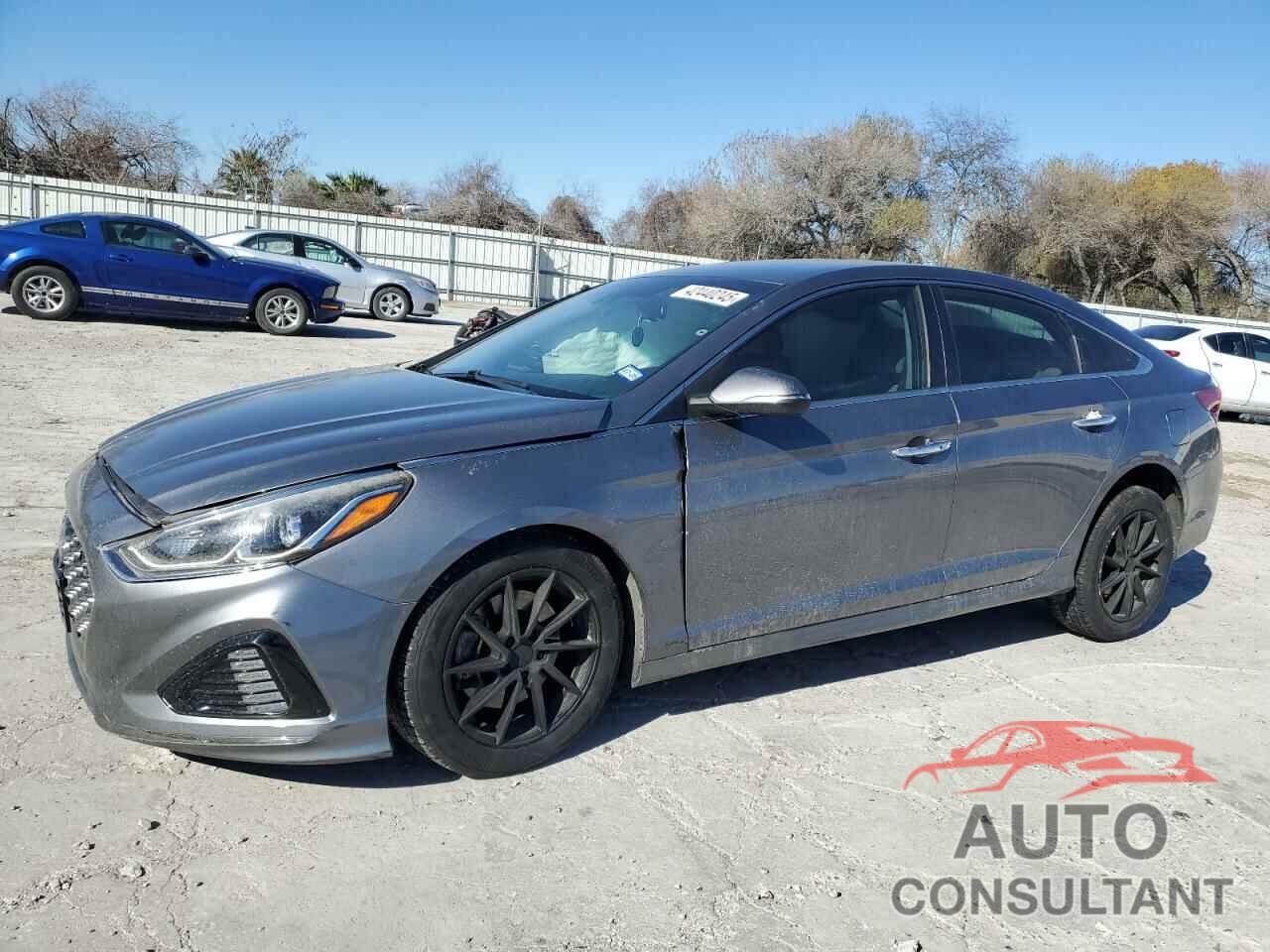 HYUNDAI SONATA 2019 - 5NPE34AF8KH794260