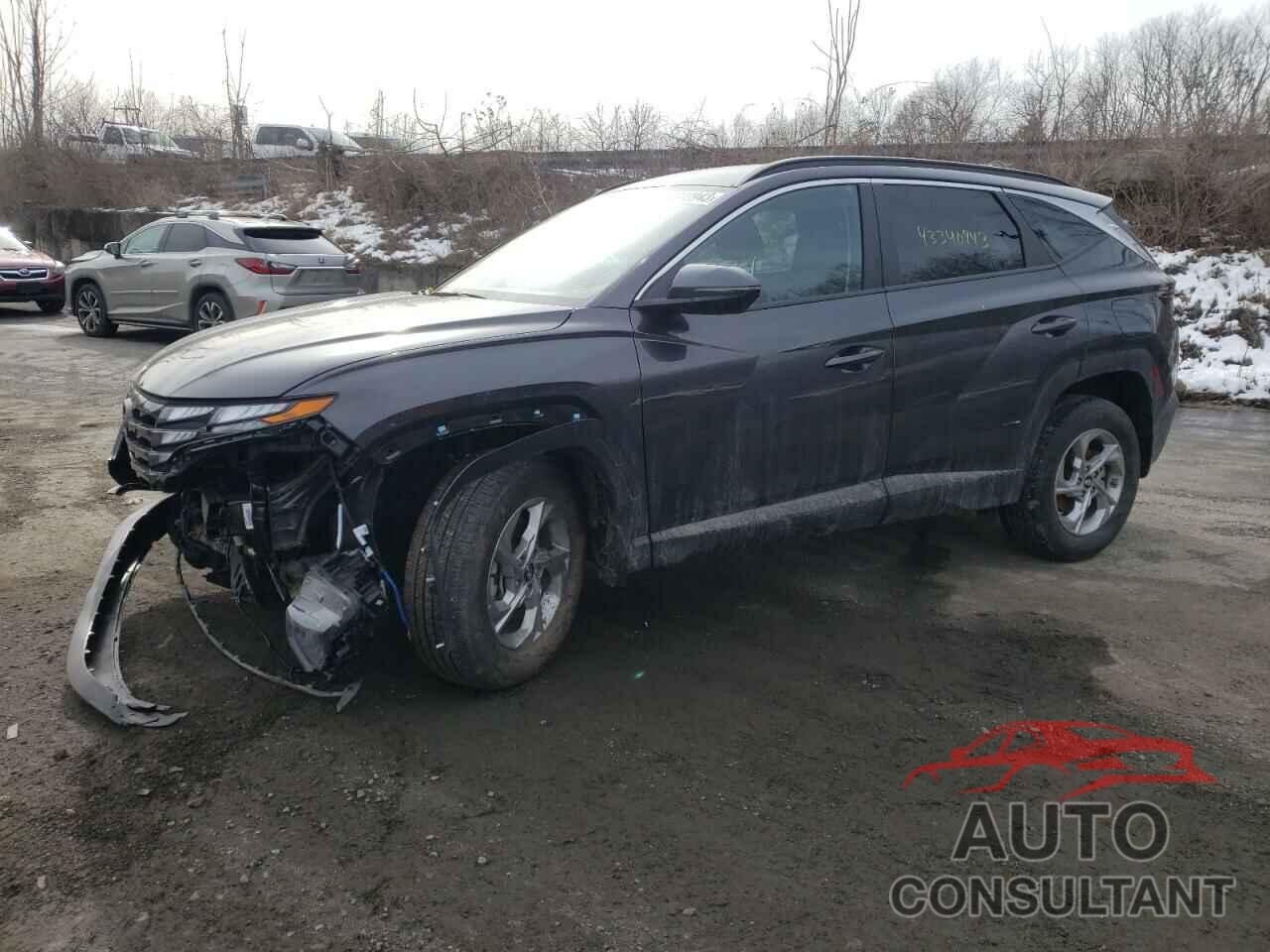 HYUNDAI TUCSON 2023 - 5NMJBCAE9PH191289