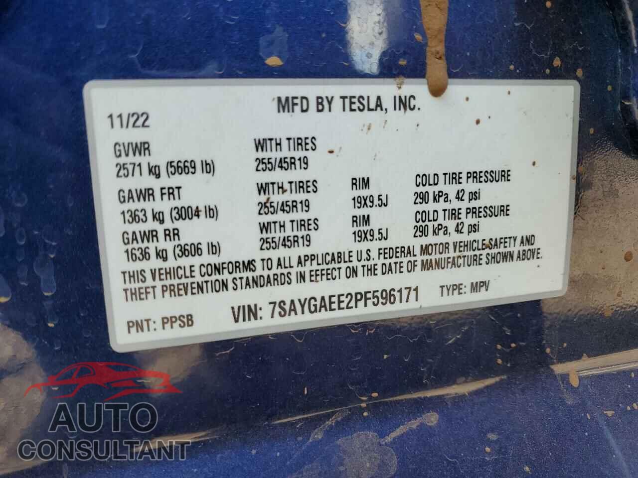 TESLA MODEL Y 2023 - 7SAYGAEE2PF596171