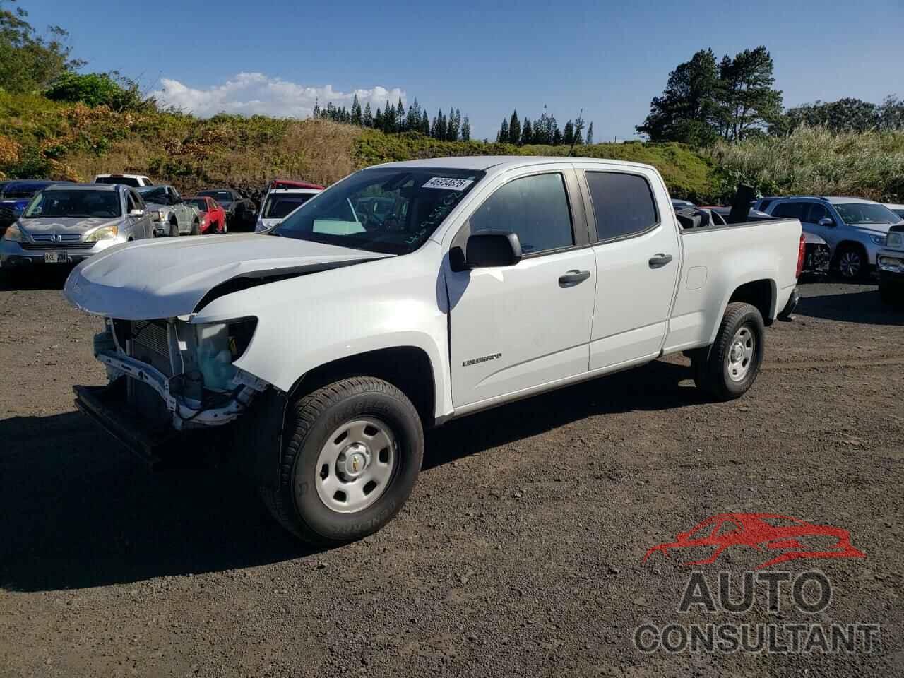CHEVROLET COLORADO 2019 - 1GCGSBEN1K1175038