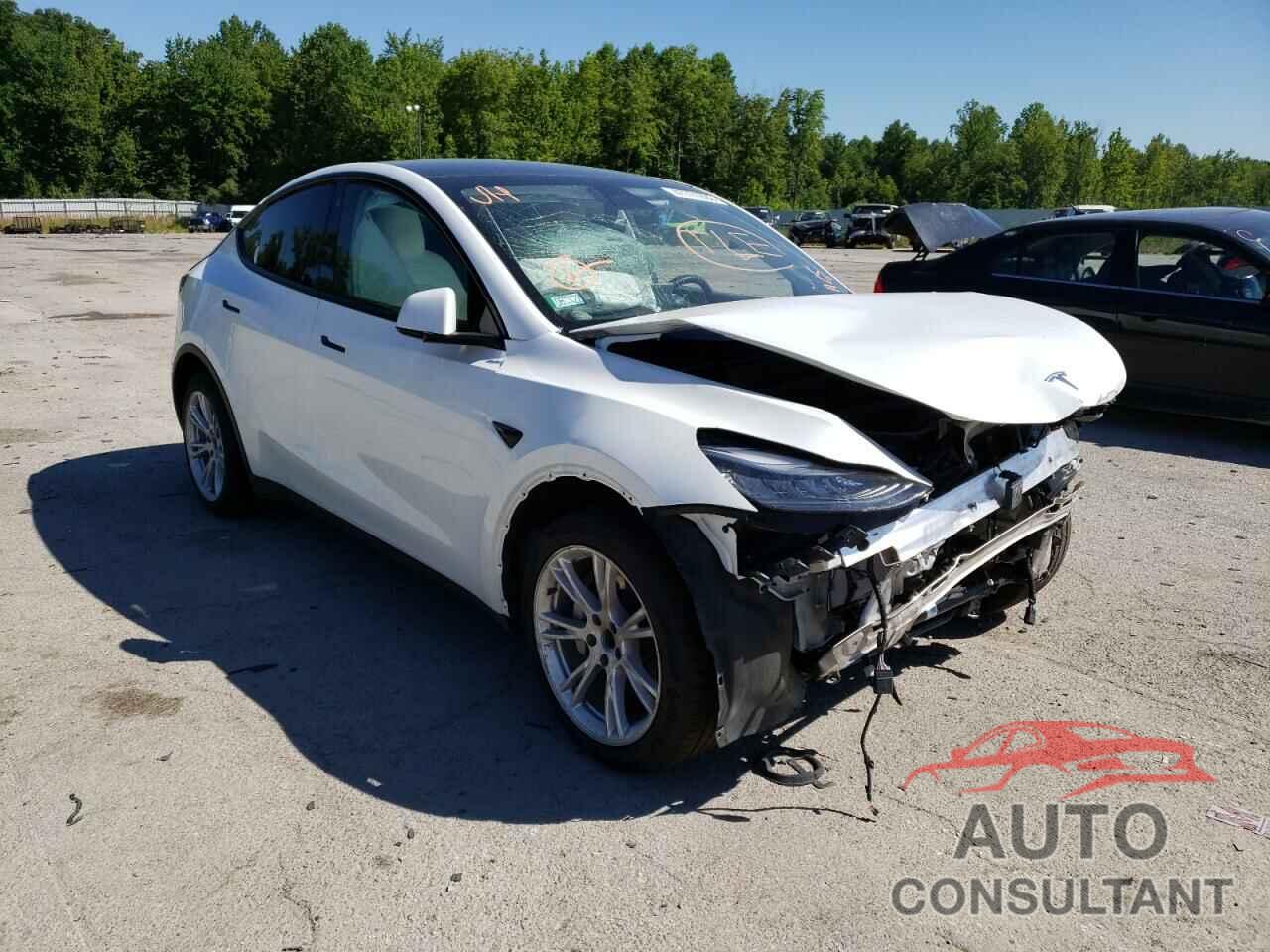 TESLA MODEL Y 2021 - 5YJYGDEE6MF087176