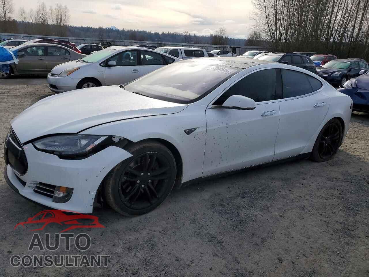 TESLA MODEL S 2014 - 5YJSA1S1XEFP28791
