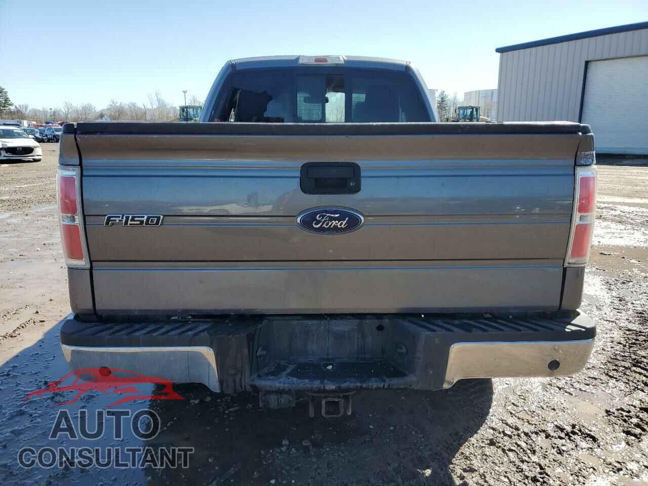FORD F-150 2012 - 1FTFX1ET0CFC14924
