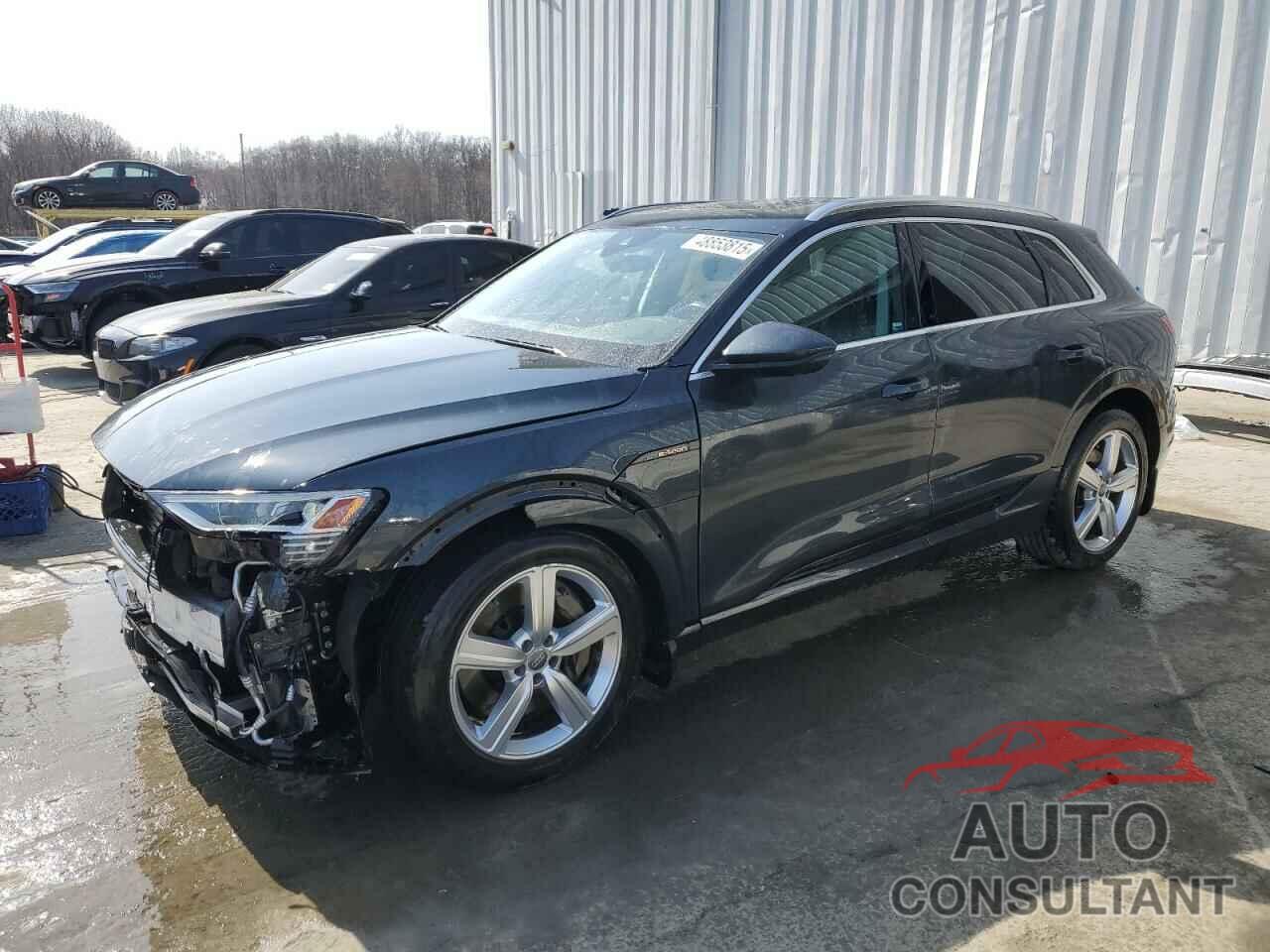 AUDI E-TRON 2019 - WA1LAAGEXKB015138