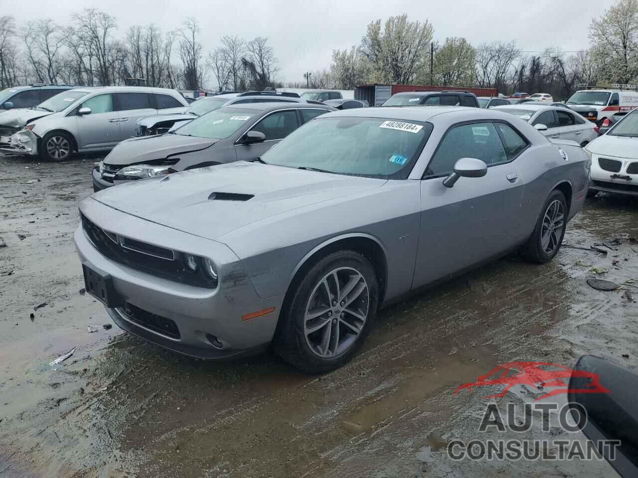 DODGE CHALLENGER 2018 - 2C3CDZGGXJH246855