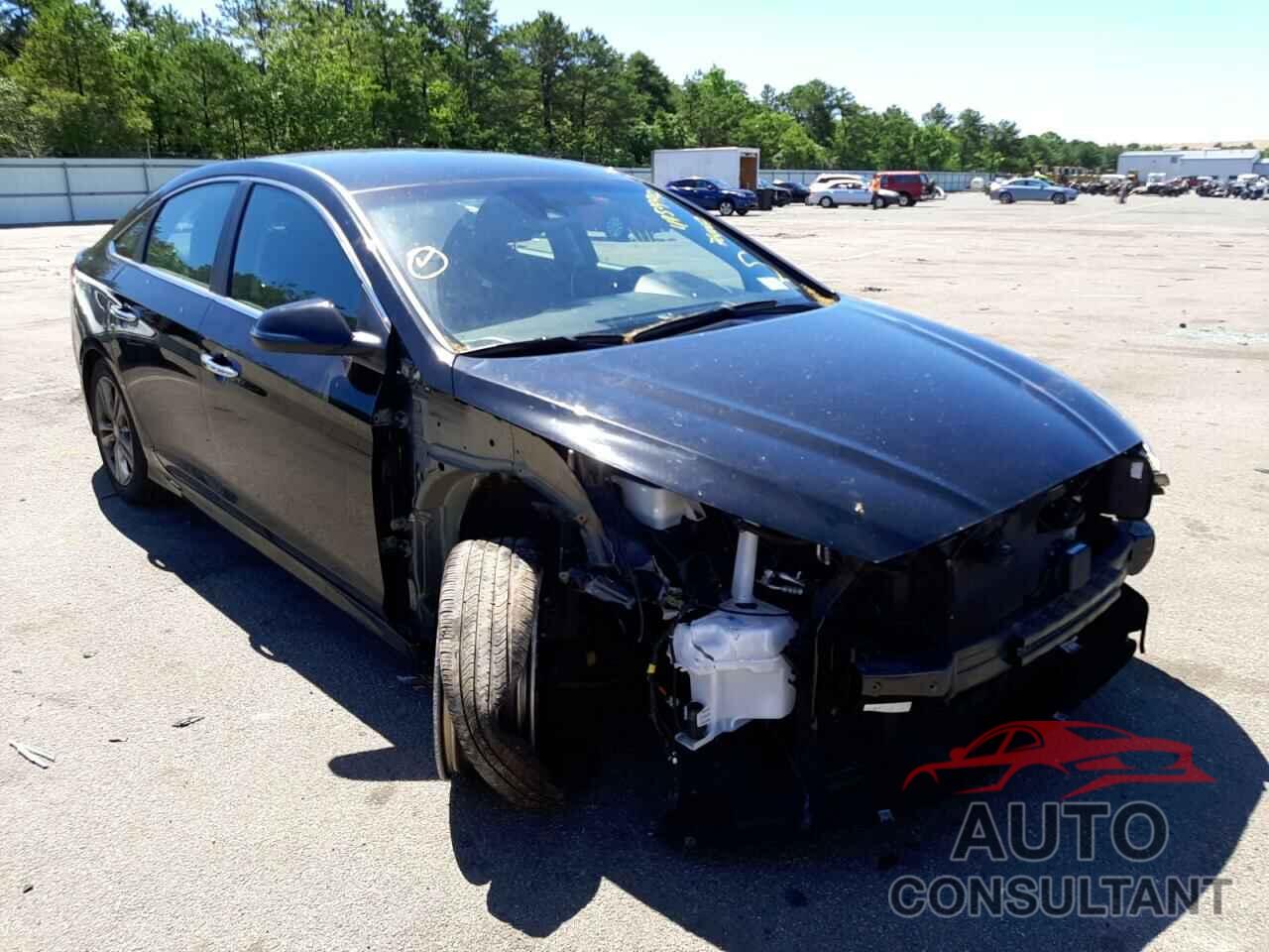 HYUNDAI SONATA 2019 - 5NPE34AF2KH764042