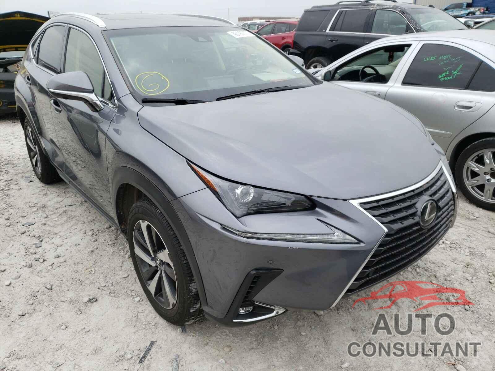 LEXUS NX 2019 - JTJYARBZXK2144241