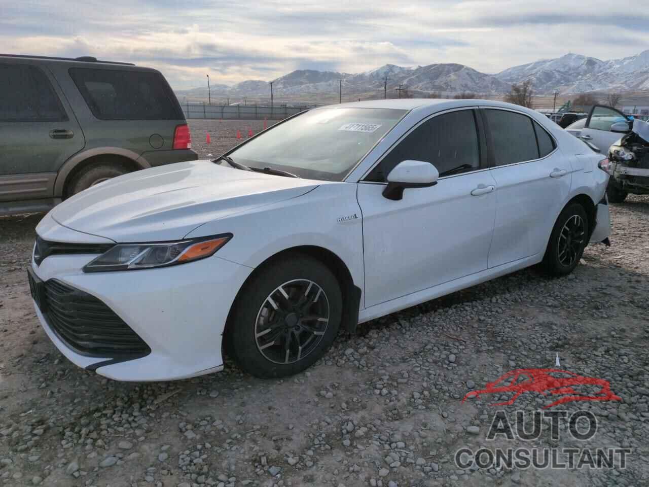 TOYOTA CAMRY 2020 - 4T1C31AK6LU541296