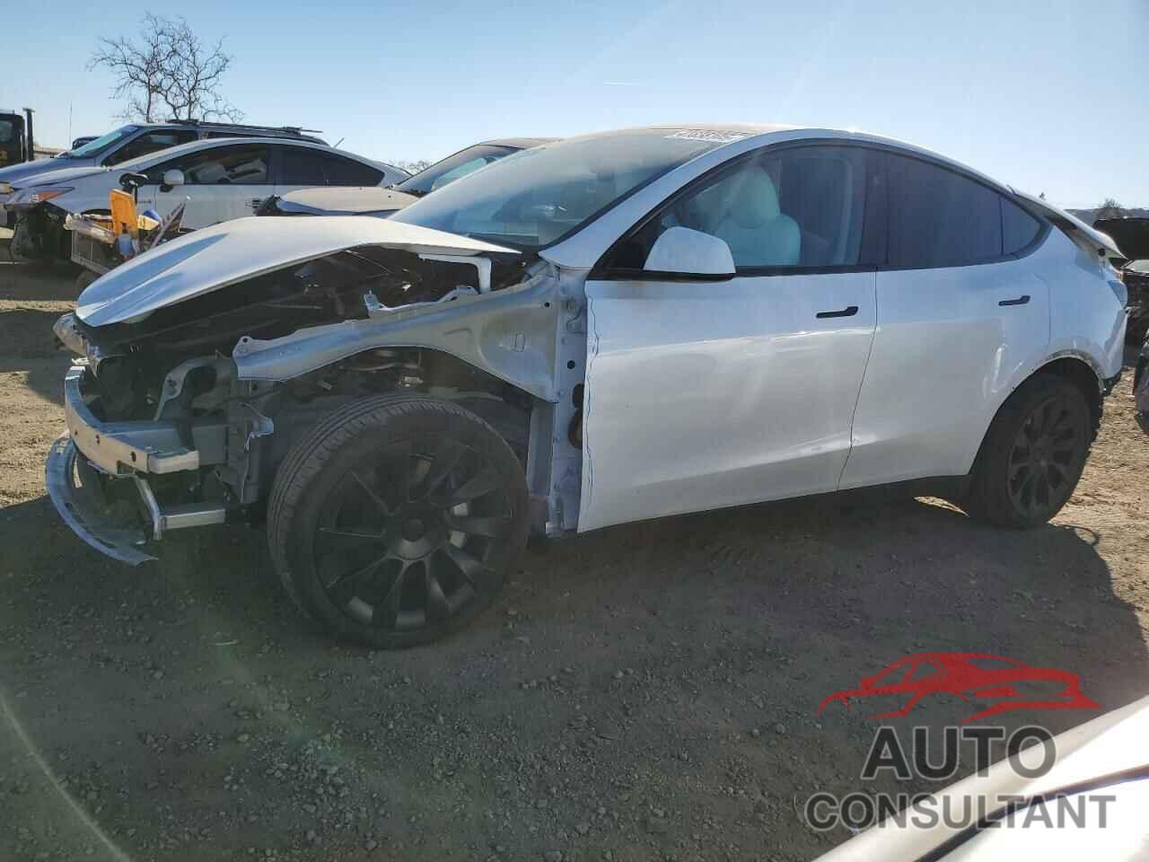 TESLA MODEL Y 2024 - 7SAYGDEE3RA257999