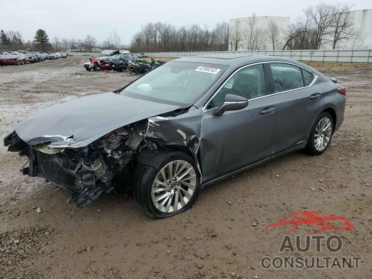 LEXUS ES300 2019 - 58AB21B19KU002506