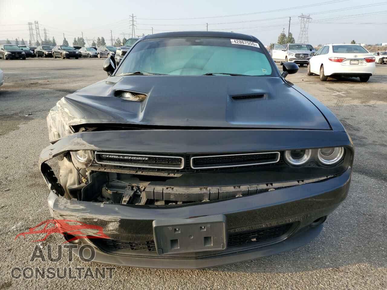 DODGE CHALLENGER 2019 - 2C3CDZAG9KH669937