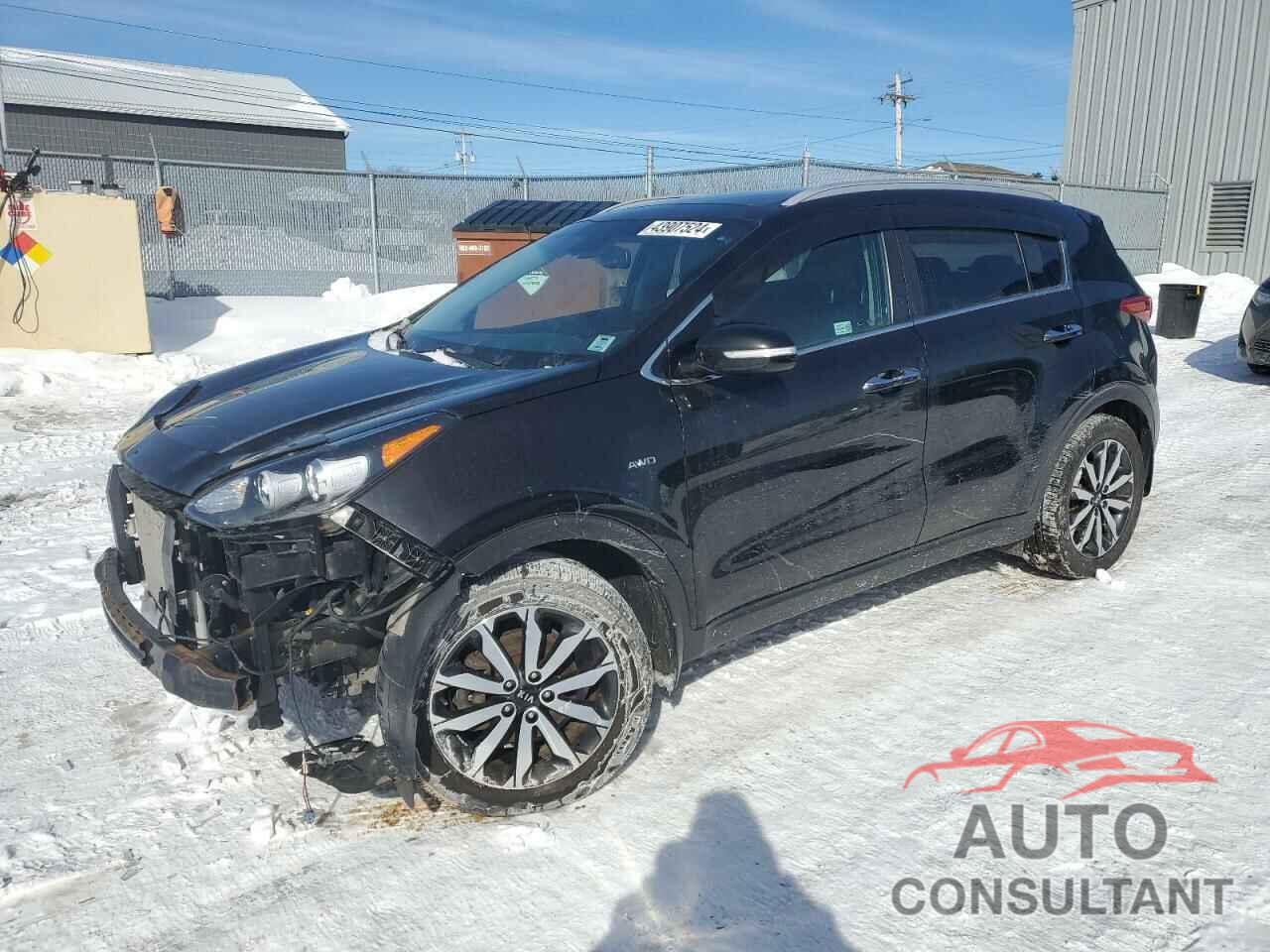 KIA SPORTAGE 2017 - KNDPNCAC2H7045048