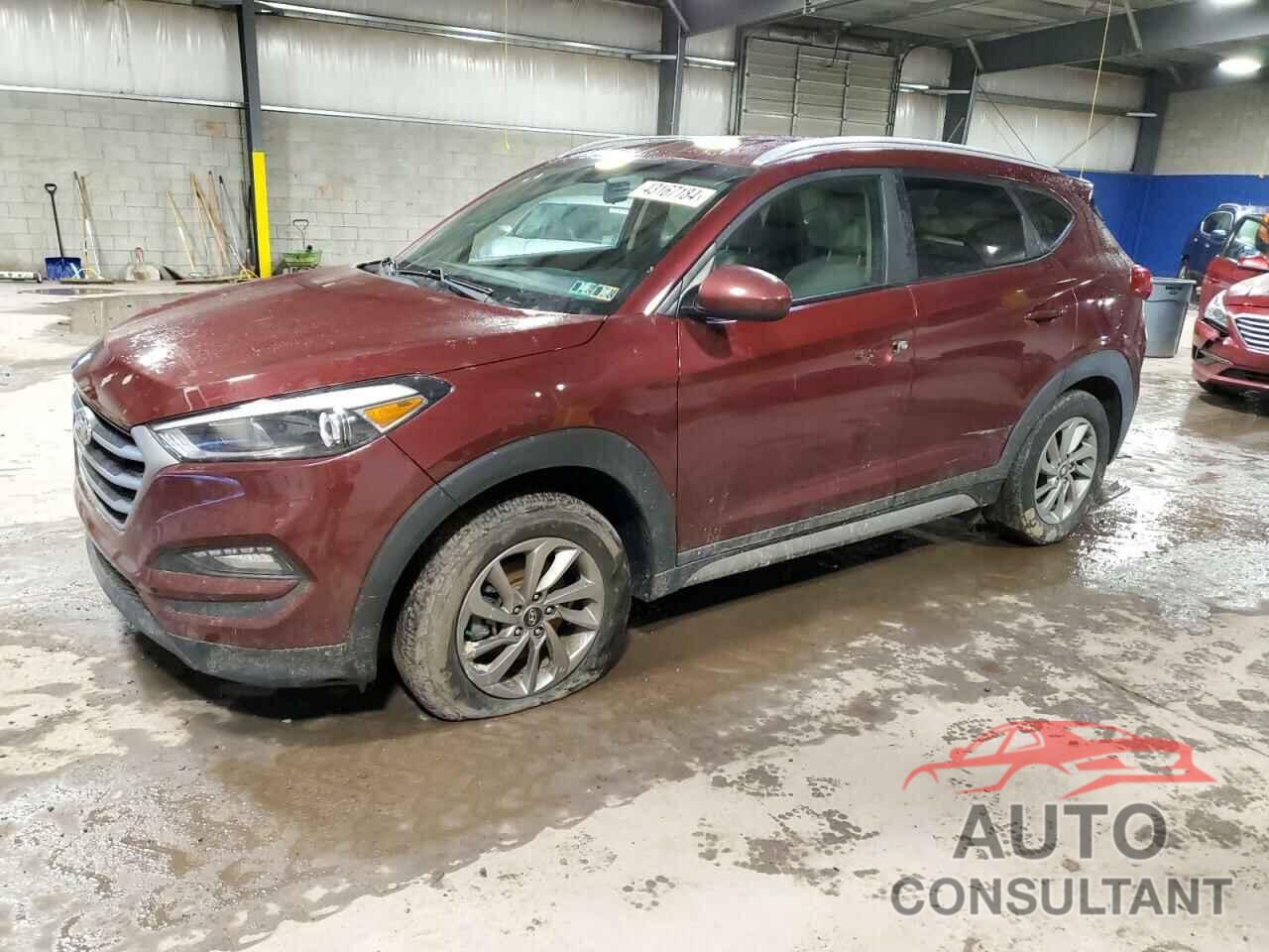 HYUNDAI TUCSON 2017 - KM8J3CA49HU251615