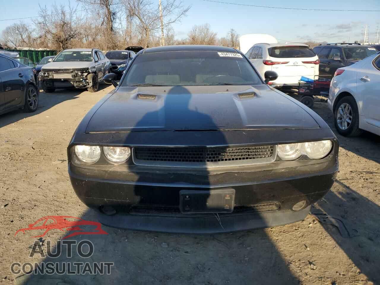 DODGE CHALLENGER 2013 - 2C3CDYAG1DH632619