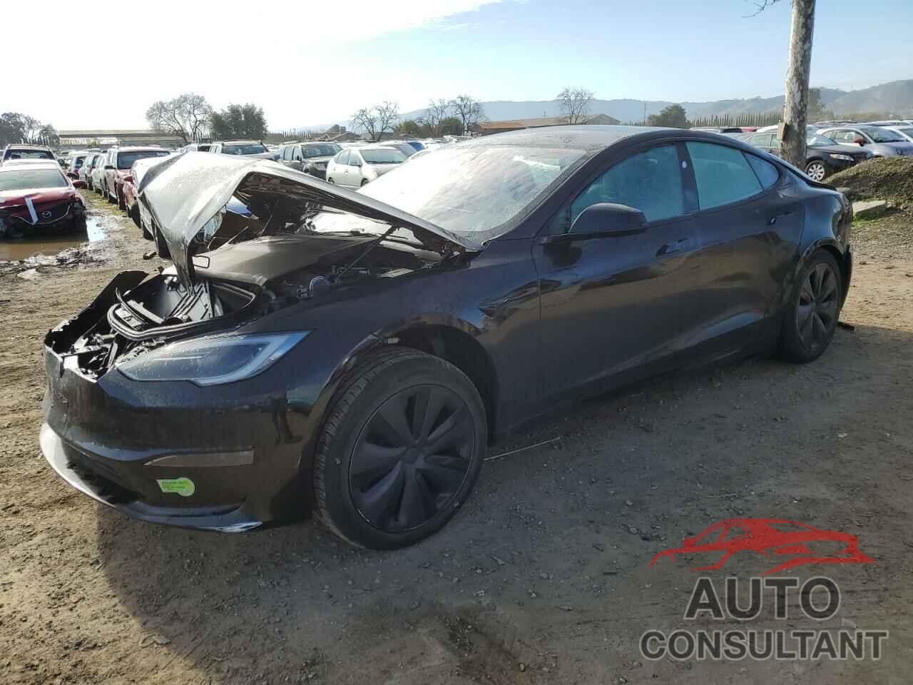 TESLA MODEL S 2023 - 5YJSA1E57PF507456