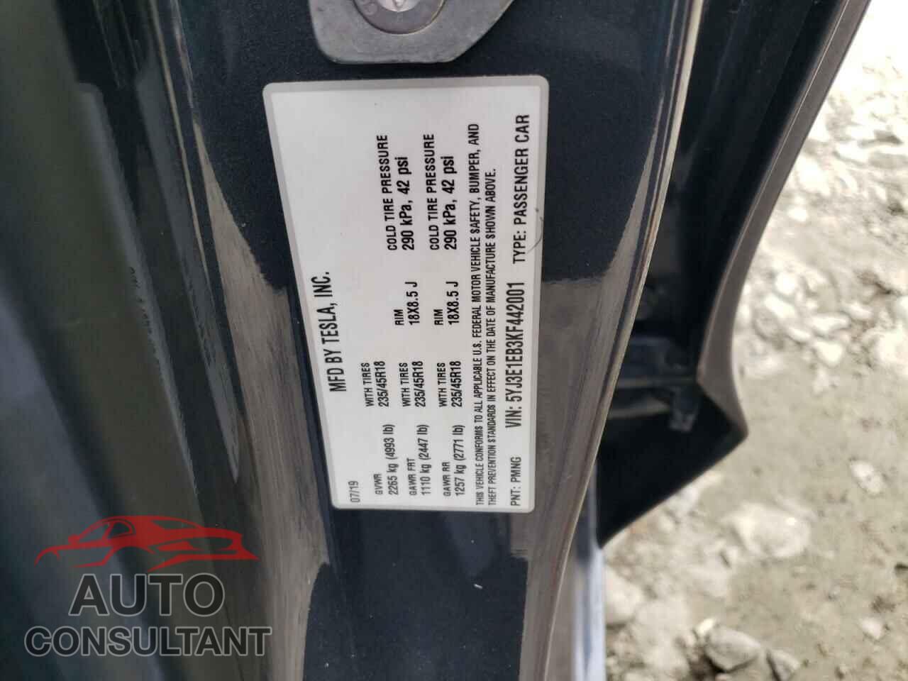 TESLA MODEL 3 2019 - 5YJ3E1EB3KF442001