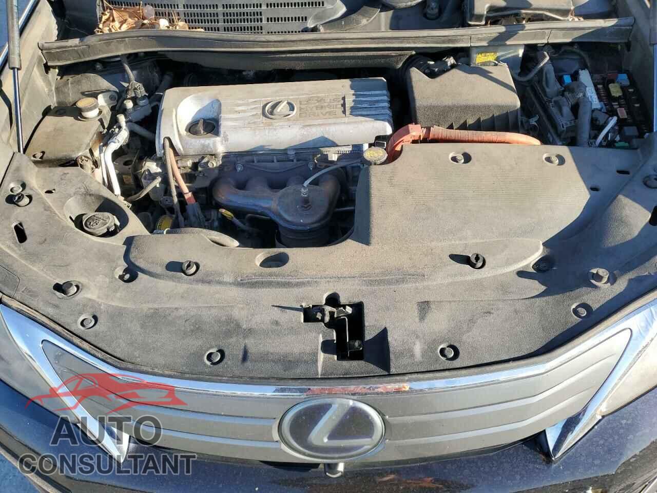 LEXUS HS 2010 - JTHBB1BAXA2005466