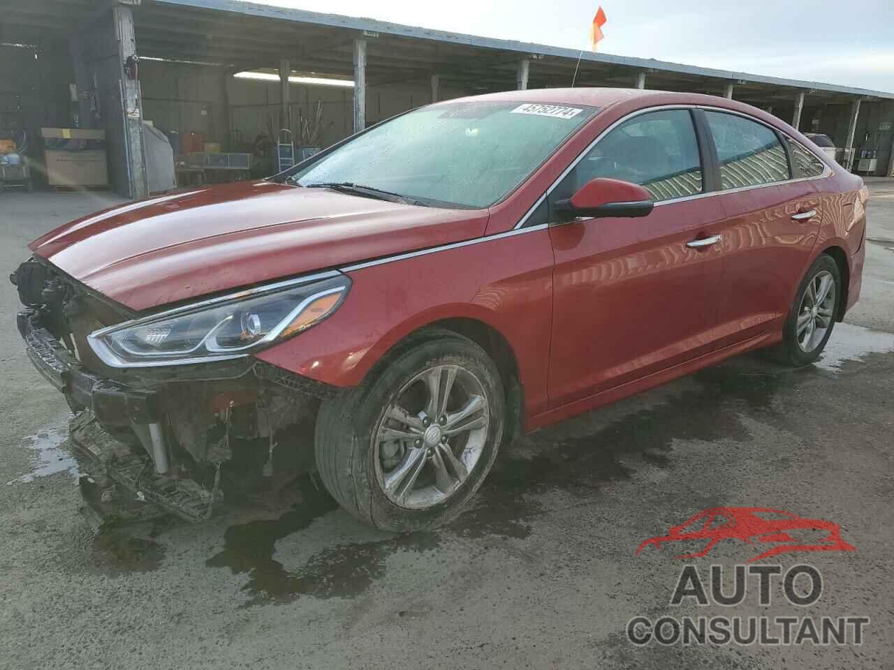 HYUNDAI SONATA 2019 - 5NPE34AF8KH739467