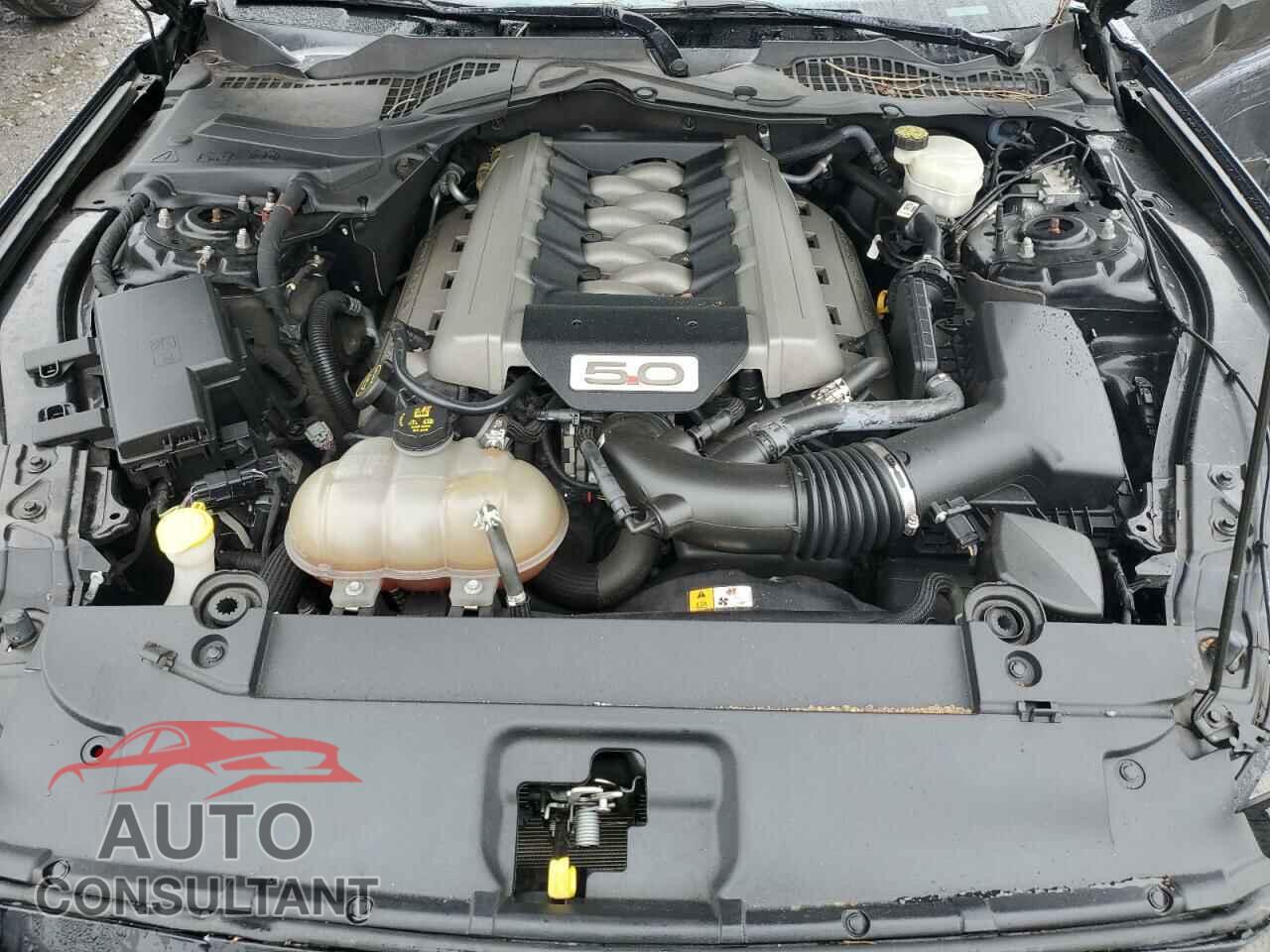 FORD MUSTANG 2016 - 1FA6P8CF1G5258809