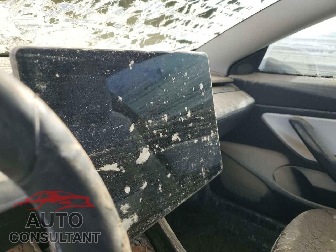 TESLA MODEL 3 2019 - 5YJ3E1EA3KF509087