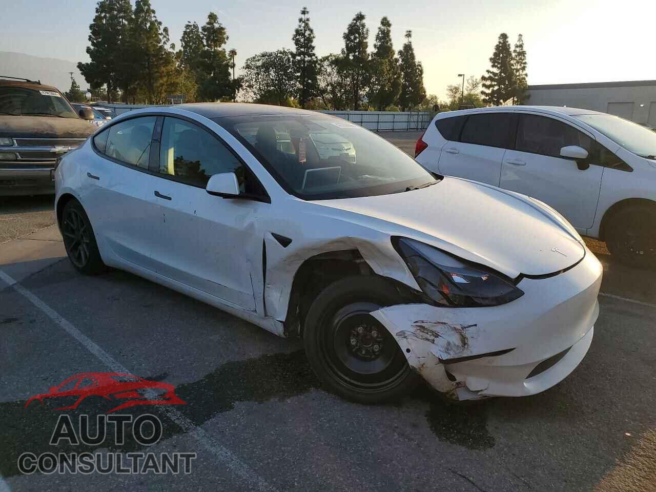TESLA MODEL 3 2021 - 5YJ3E1EA0MF871820