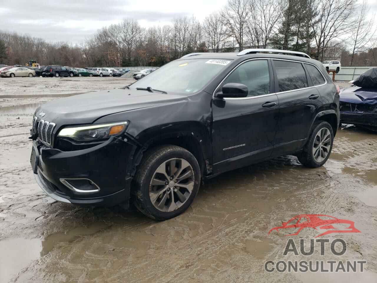 JEEP CHEROKEE 2019 - 1C4PJMJXXKD393130